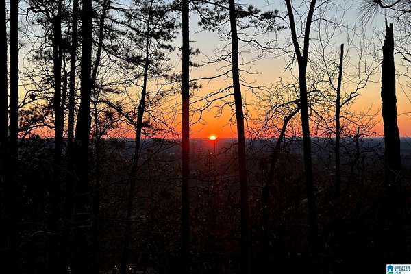 1.44 Acres of Residential Land for Sale in Jacksonville, Alabama