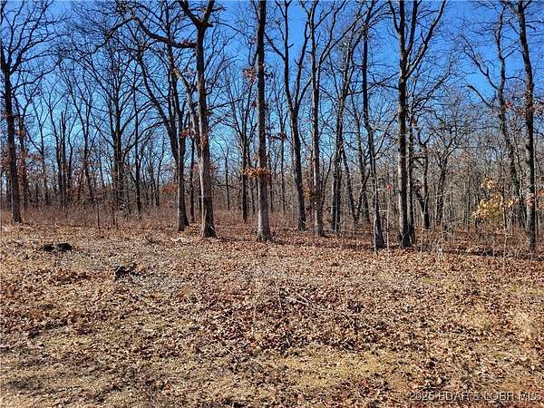5.5 Acres of Land for Sale in Edwards, Missouri
