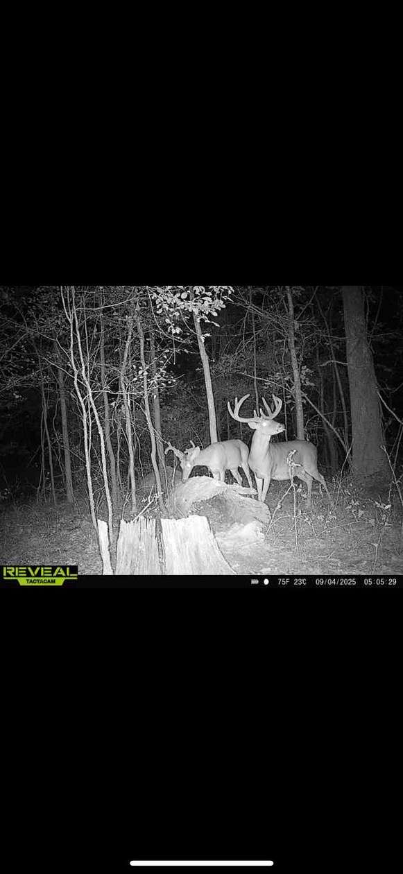 215 Acres of Recreational Land for Sale in Bordelonville, Louisiana