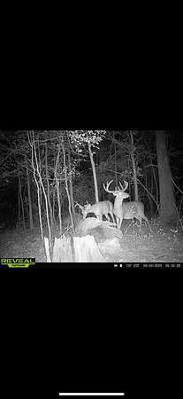 215 Acres of Recreational Land for Sale in Bordelonville, Louisiana