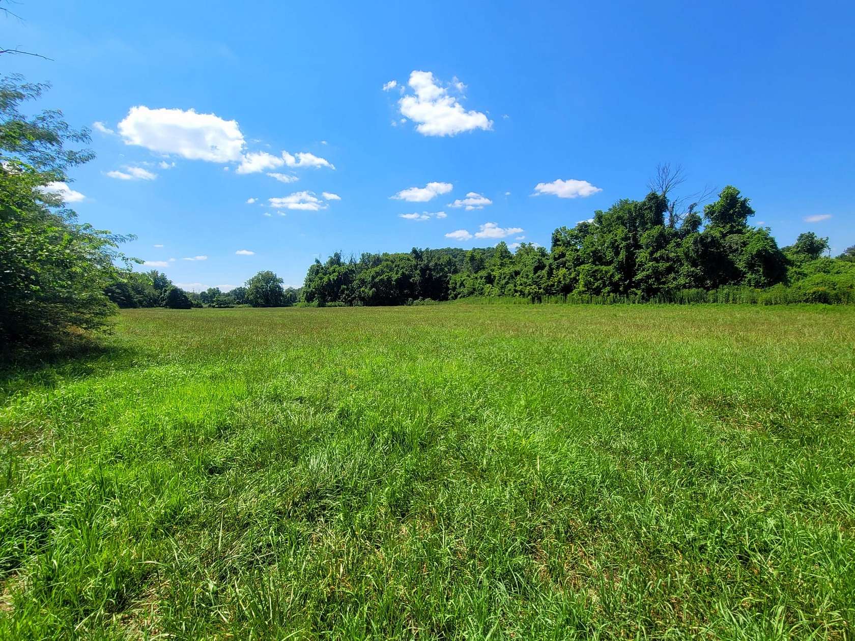 30 Acres of Land for Sale in Fordland, Missouri