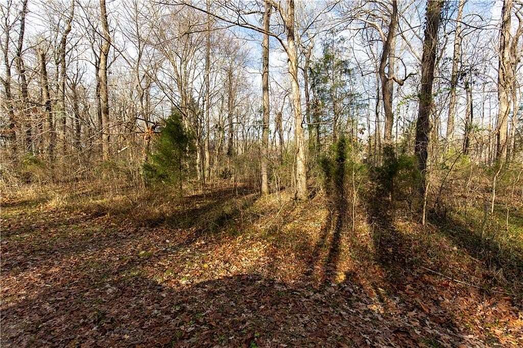 0.48 Acres of Residential Land for Sale in Orrville, Alabama