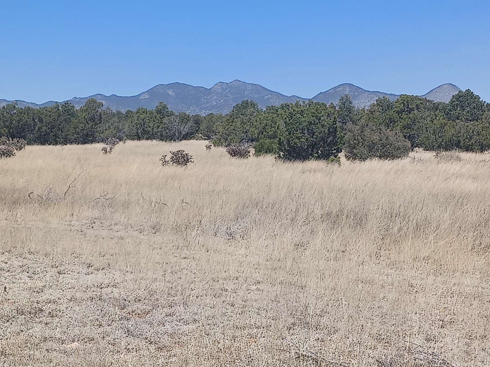 40 Acres of Recreational Land for Sale in Stanley, New Mexico