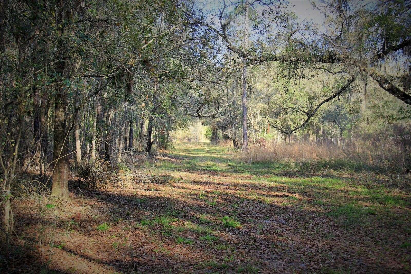 27 Acres of Recreational Land for Sale in Webster, Florida