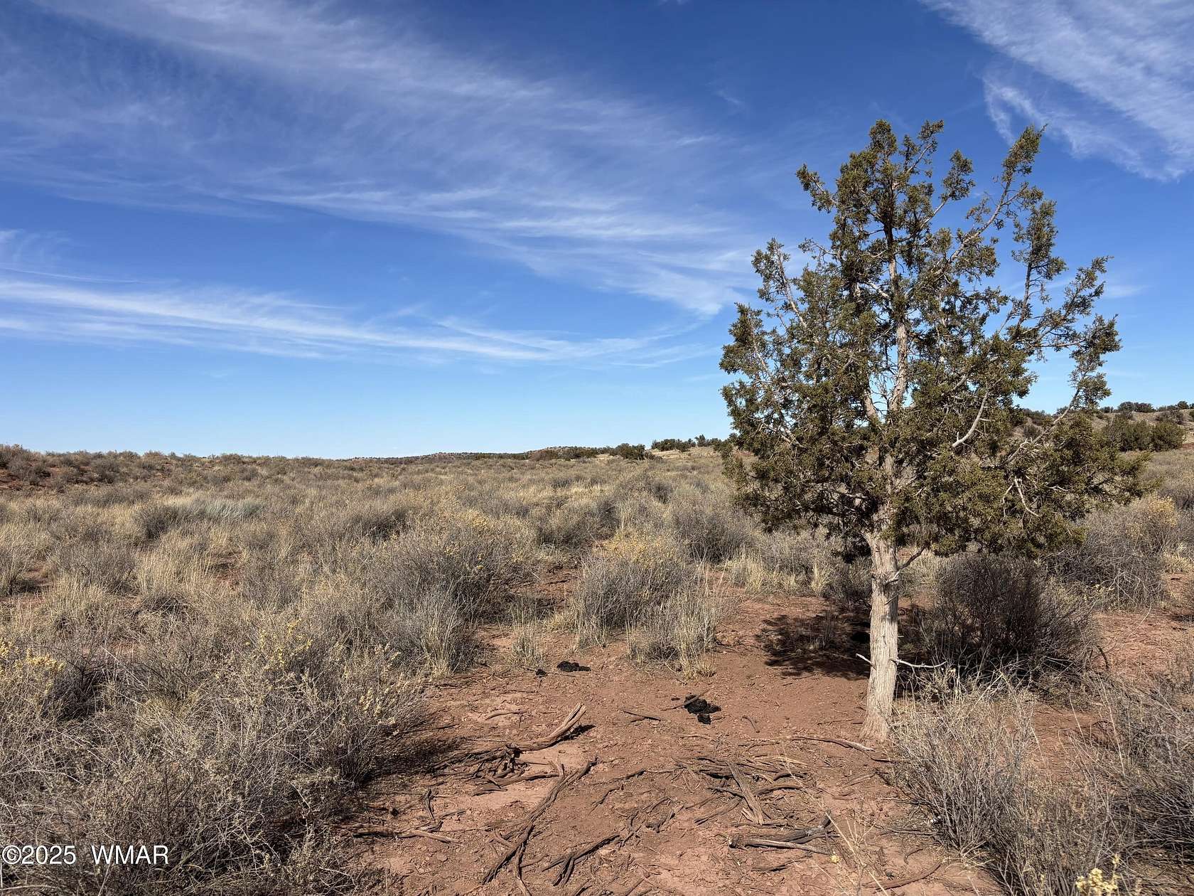 19.9 Acres of Recreational Land for Sale in Snowflake, Arizona