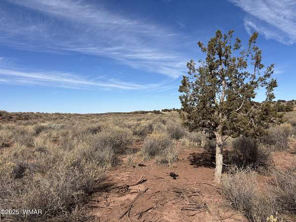 19.9 Acres of Recreational Land for Sale in Snowflake, Arizona