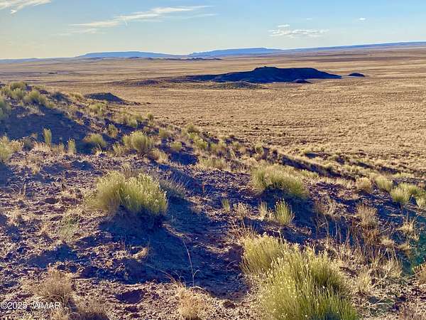 41.2 Acres of Land for Sale in St. Johns, Arizona