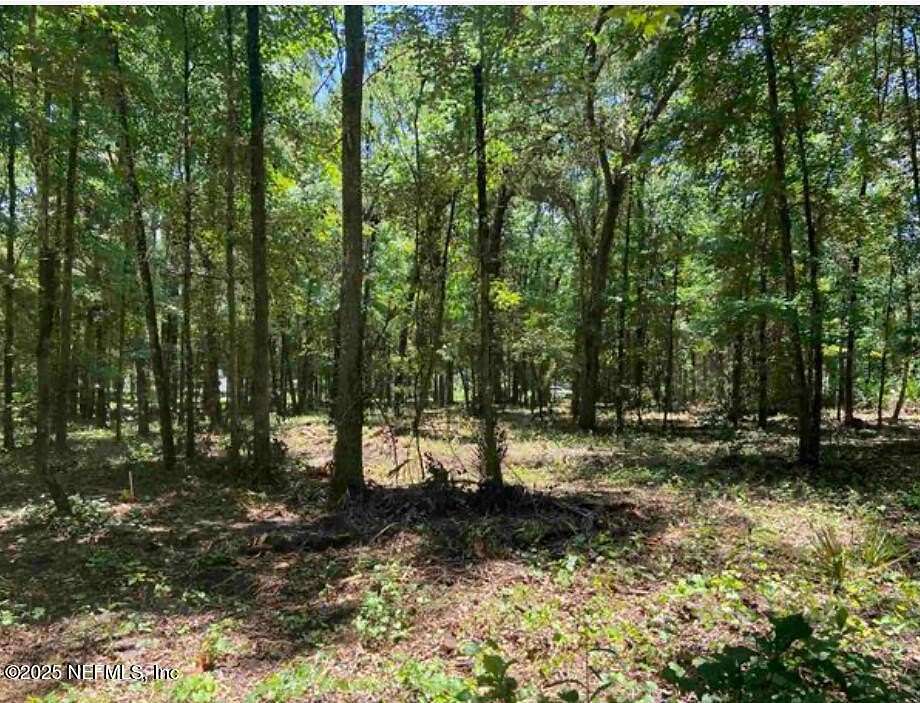 1.14 Acres of Land for Sale in Hastings, Florida