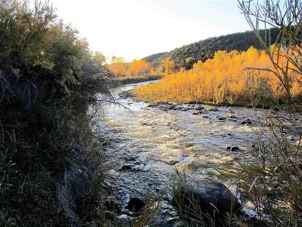 7 Acres of Residential Land for Sale in Collbran, Colorado
