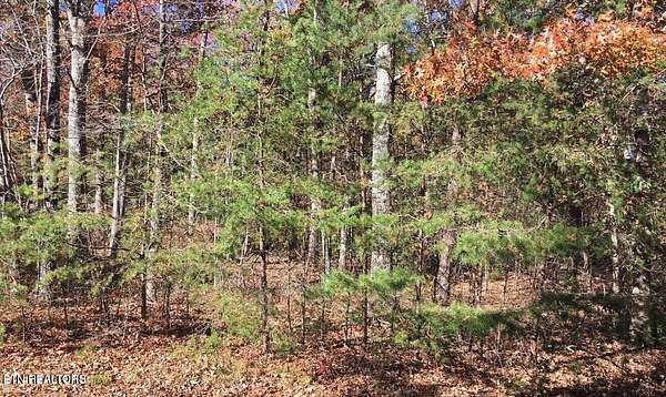 0.32 Acres of Land for Sale in Crossville, Tennessee