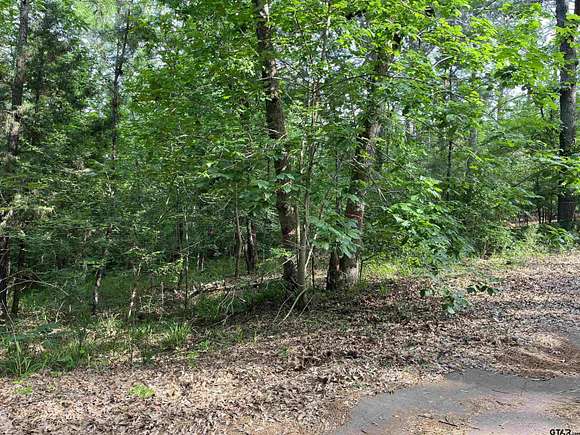 0.19 Acres of Residential Land for Sale in Flint, Texas