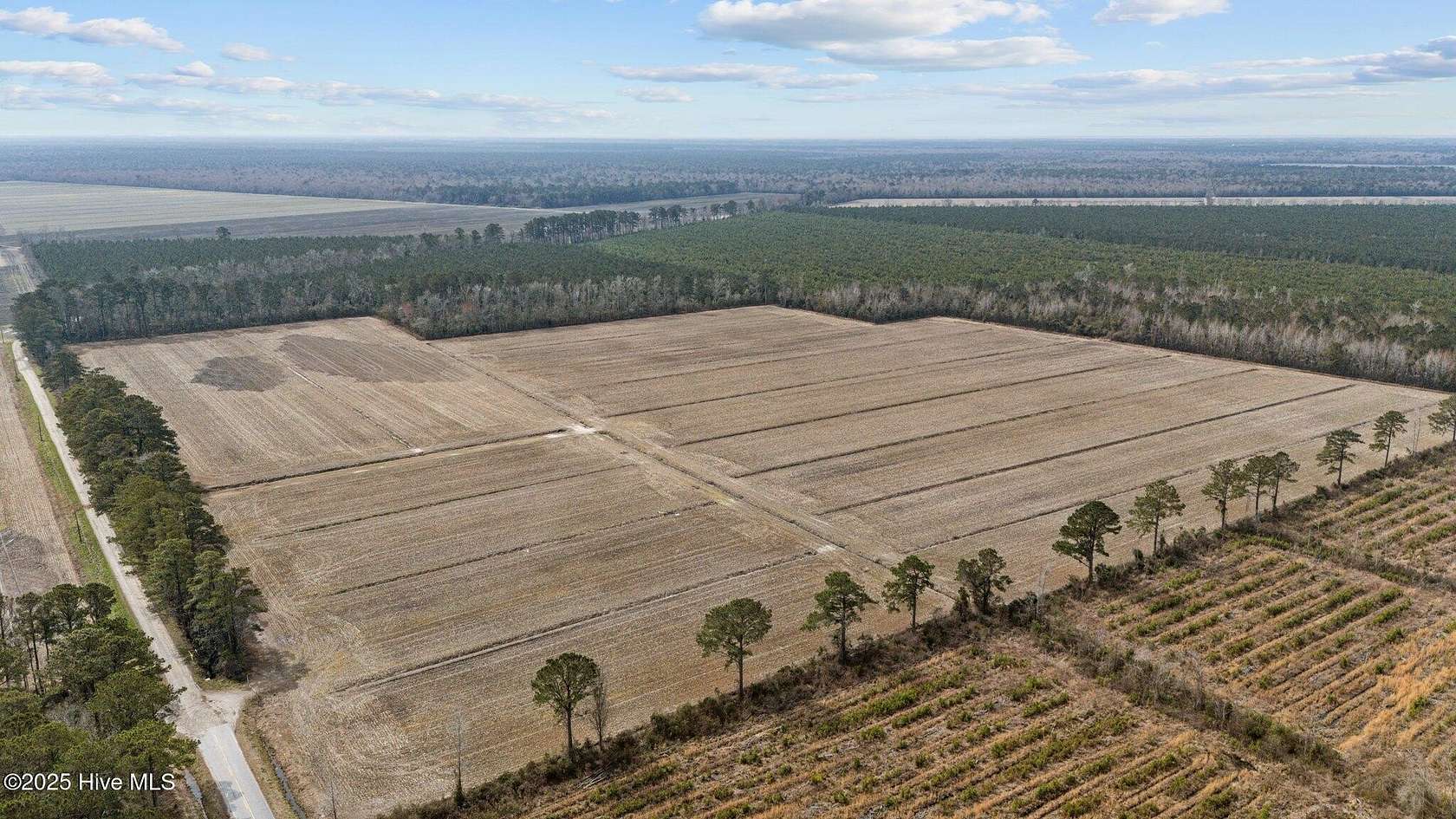 67.1 Acres of Land for Sale in Bayboro, North Carolina