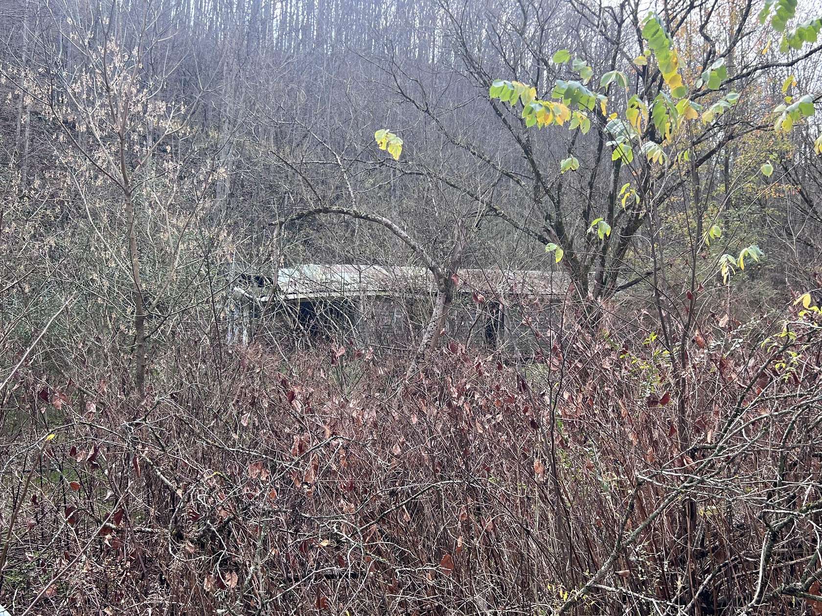 7.49 Acres of Land for Sale in Manchester, Kentucky