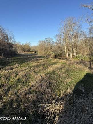 20 Acres of Recreational Land for Sale in Abbeville, Louisiana