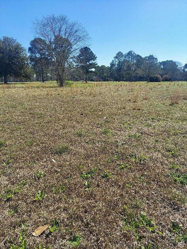 0.98 Acres of Residential Land for Sale in Cairo, Georgia