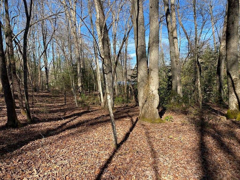 1 Acre of Residential Land for Sale in Andrews, North Carolina