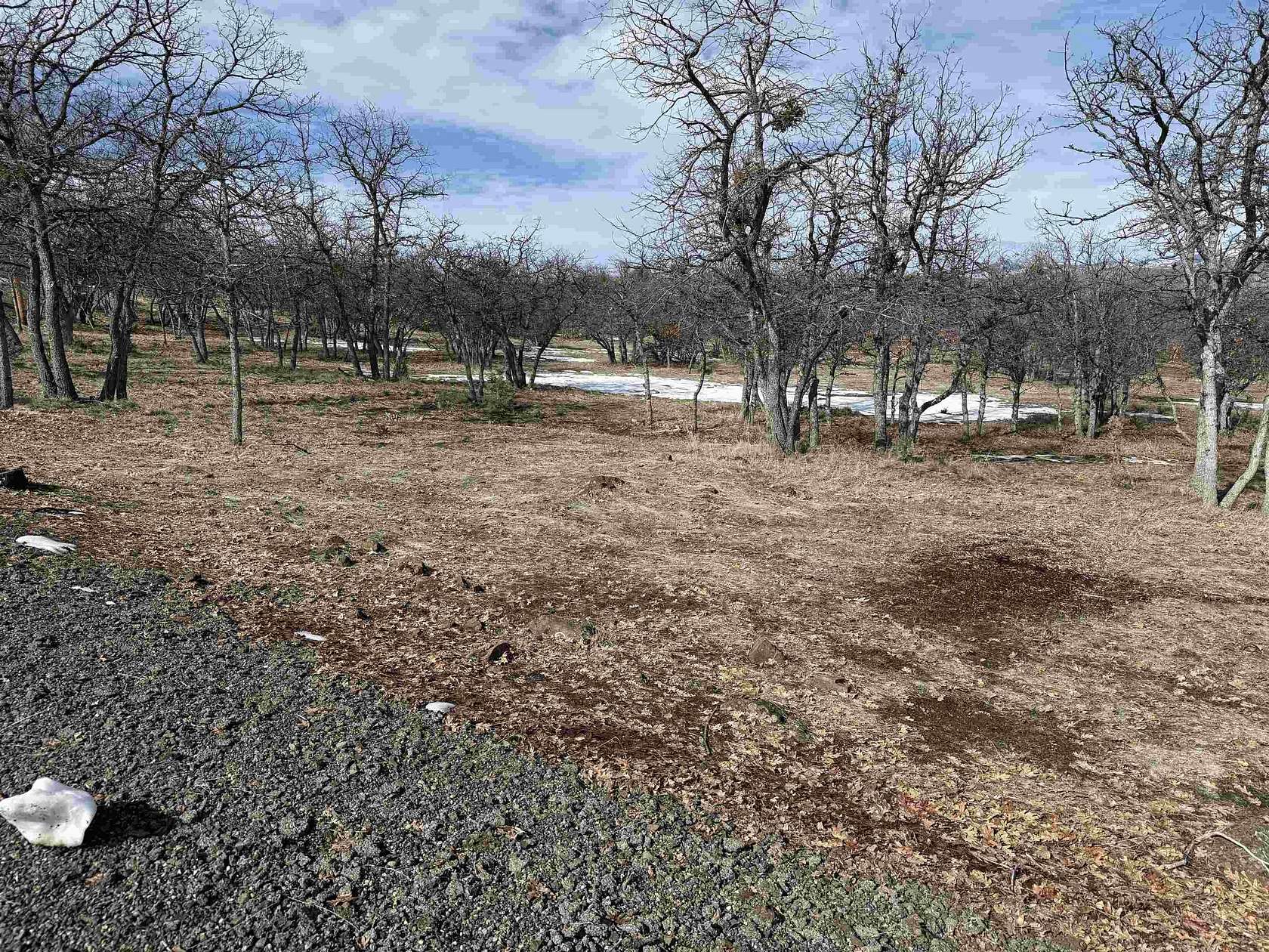 1.27 Acres of Residential Land for Sale in Hornbrook, California