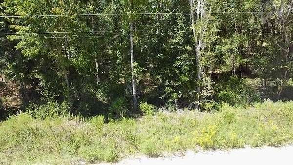 0.24 Acres of Residential Land for Sale in Williston, Florida