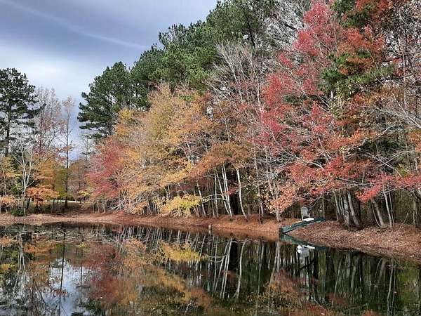 7.86 Acres of Mixed-Use Land for Sale in Appling, Georgia