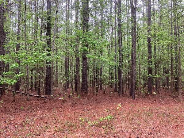 4.3 Acres of Mixed-Use Land for Sale in Appling, Georgia