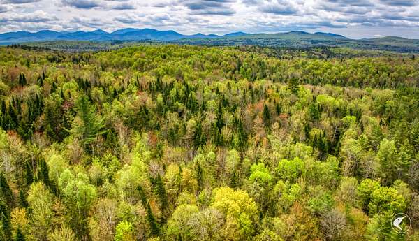 150 Acres of Recreational Land for Sale in Lake Clear, New York
