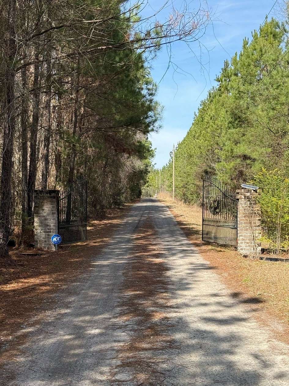 22 Acres of Land with Home for Sale in Pineland, South Carolina