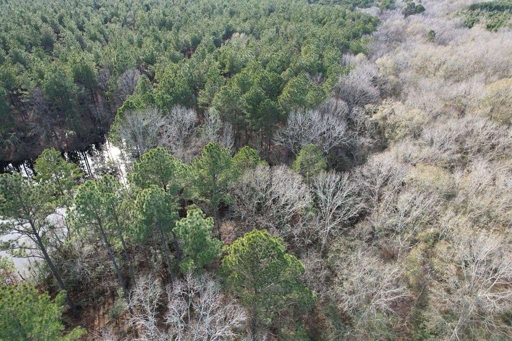 16 Acres of Recreational Land for Sale in Timpson, Texas