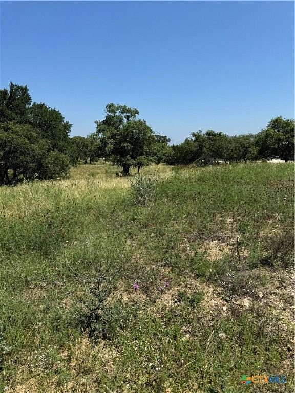 12 Acres of Land for Sale in Stockdale, Texas