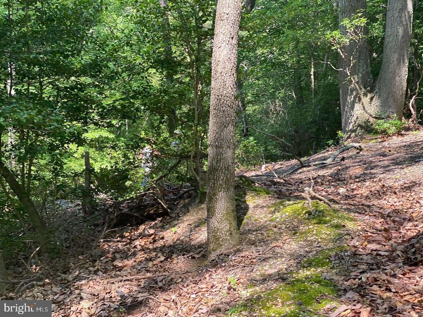 5 Acres of Residential Land for Sale in Lusby, Maryland