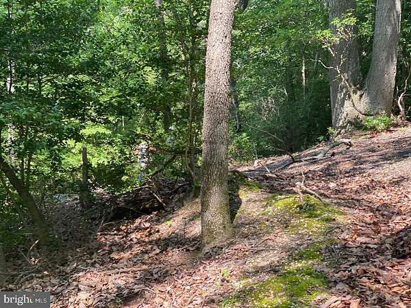 5 Acres of Residential Land for Sale in Lusby, Maryland