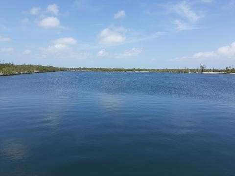 20 Acres of Land for Sale in No Name Key, Florida