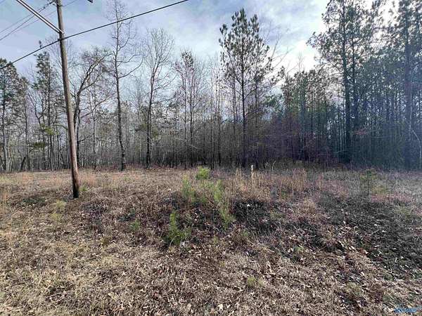 23 Acres of Land for Sale in Centre, Alabama
