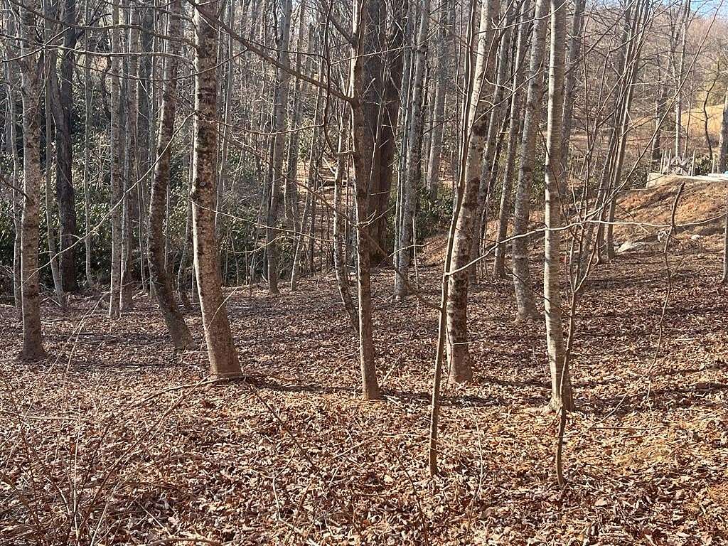 0.3 Acres of Residential Land for Sale in Fancy Gap, Virginia