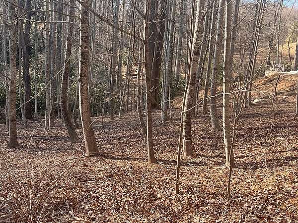 0.3 Acres of Residential Land for Sale in Fancy Gap, Virginia