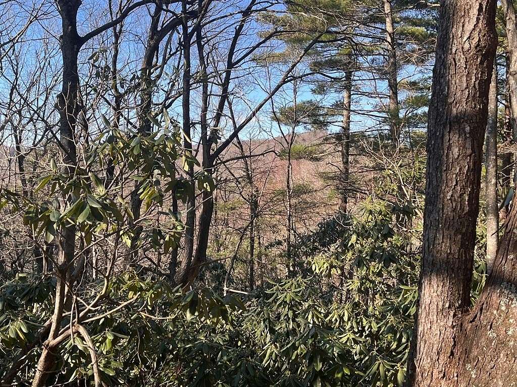 0.3 Acres of Residential Land for Sale in Fancy Gap, Virginia