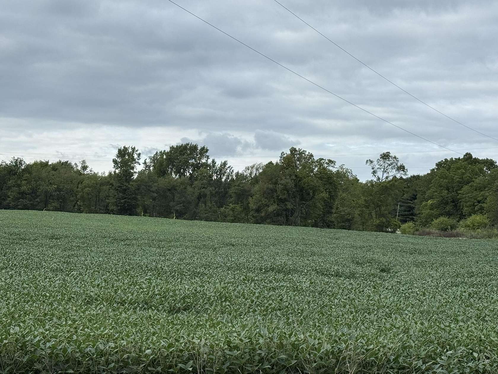 77 Acres of Recreational Land & Farm for Sale in Reading, Michigan