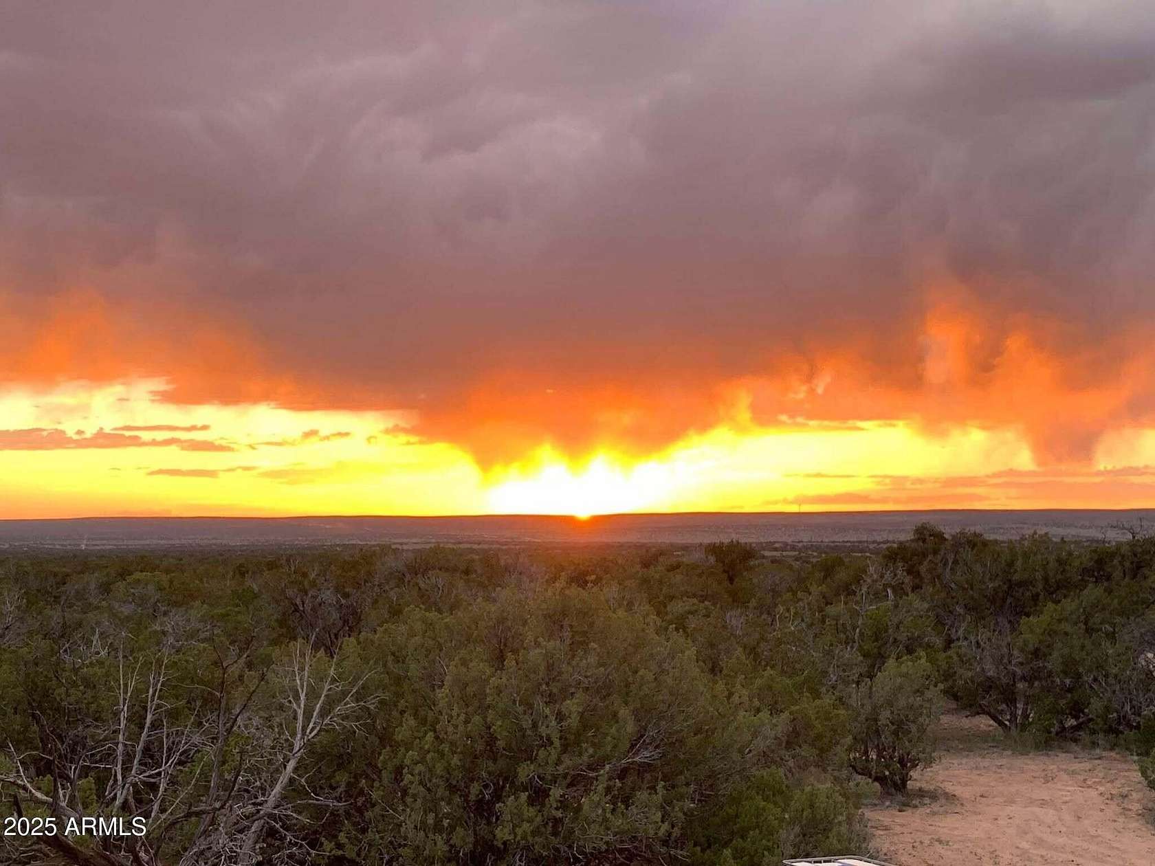 37.9 Acres of Recreational Land for Sale in St. Johns, Arizona