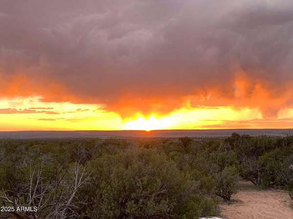 37.9 Acres of Recreational Land for Sale in St. Johns, Arizona