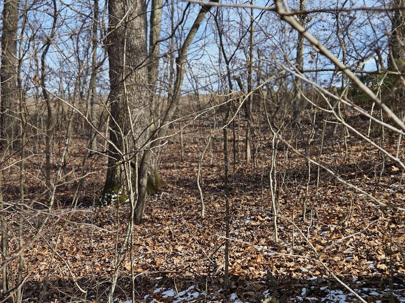 0.46 Acres of Residential Land for Sale in Hollister, Missouri