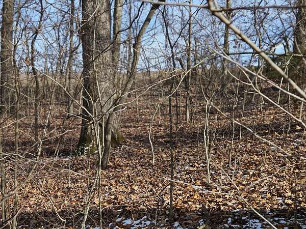 0.46 Acres of Residential Land for Sale in Hollister, Missouri