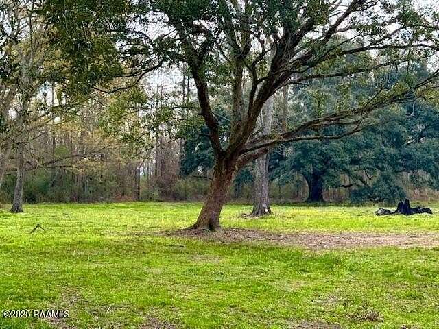 1.8 Acres of Residential Land for Sale in Iota, Louisiana