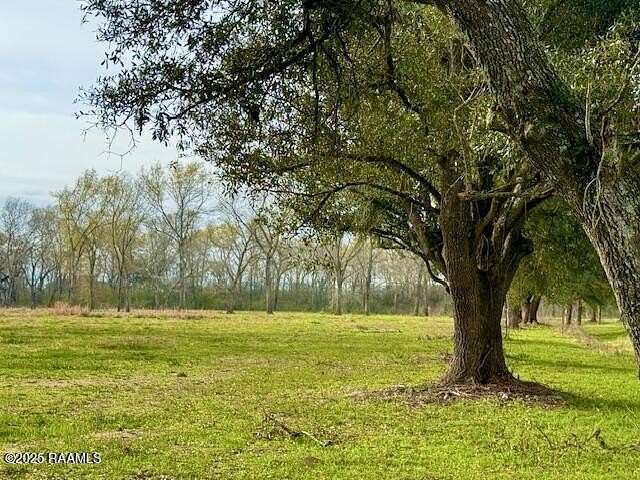 12.4 Acres of Land for Sale in Iota, Louisiana