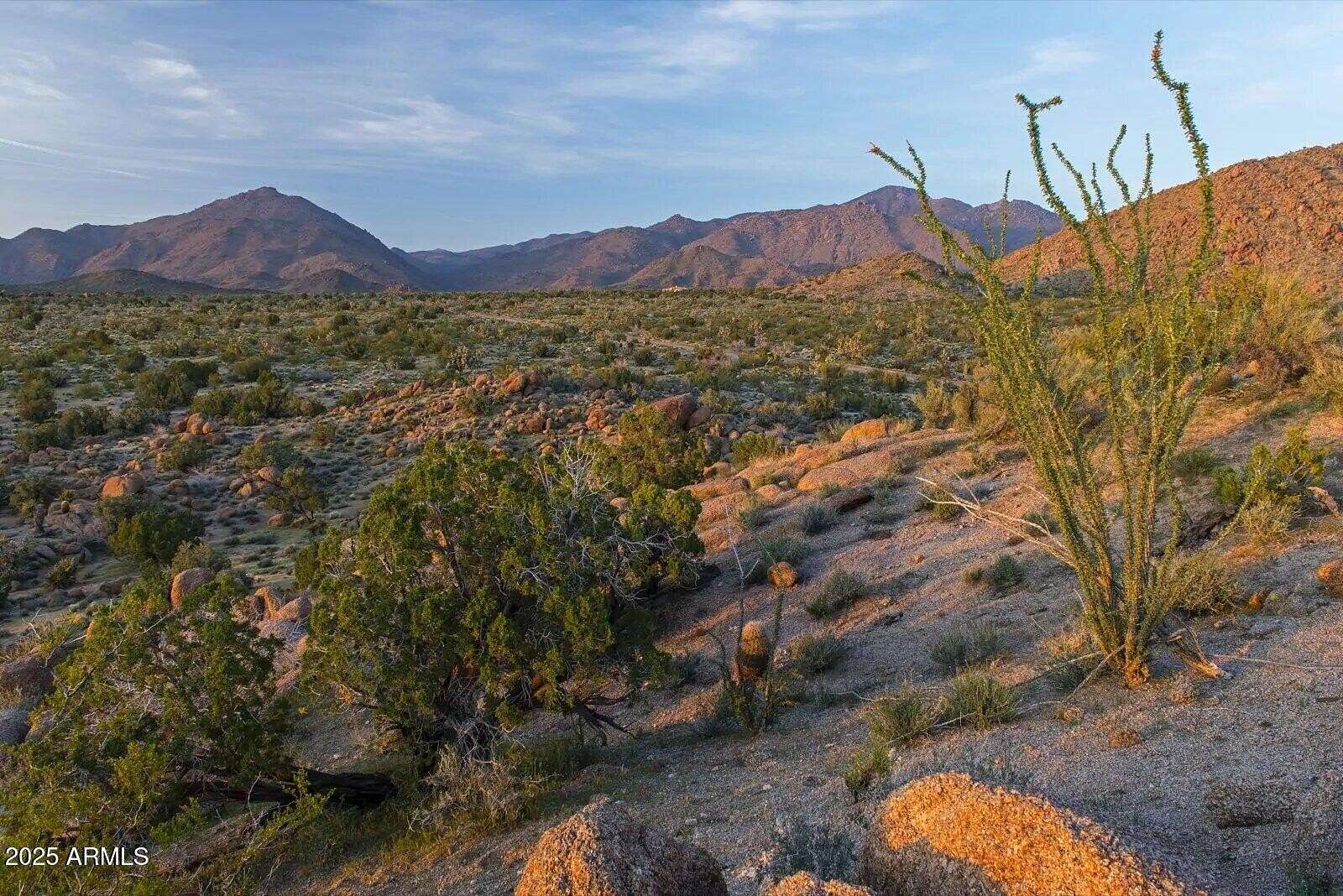 37.5 Acres of Recreational Land for Sale in Yucca, Arizona