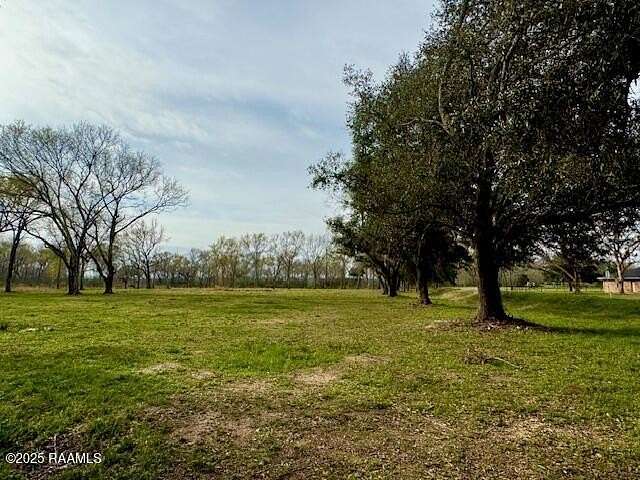2 Acres of Residential Land for Sale in Iota, Louisiana