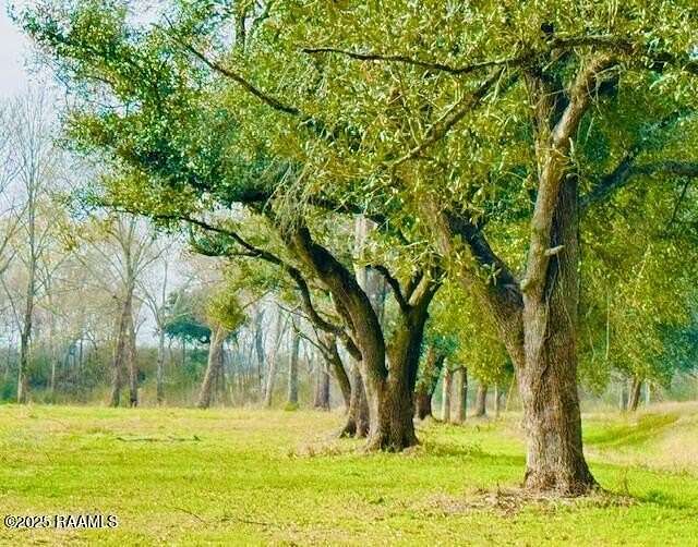 18.2 Acres of Land for Sale in Iota, Louisiana