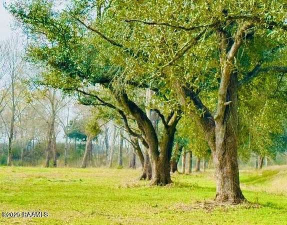 18.2 Acres of Land for Sale in Iota, Louisiana