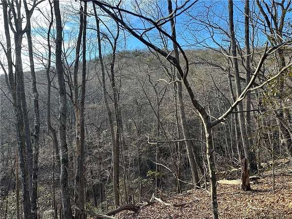 1 Acre of Residential Land for Sale in Jasper, Georgia