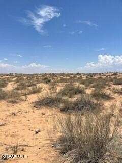 20 Acres of Recreational Land for Sale in Fort Hancock, Texas