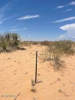 20 Acres of Recreational Land for Sale in Fort Hancock, Texas