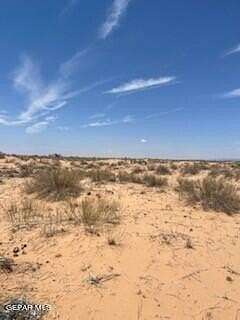 20 Acres of Recreational Land for Sale in Fort Hancock, Texas